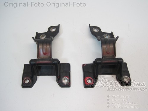 Hinges tailgate left right - tailgate, left/right