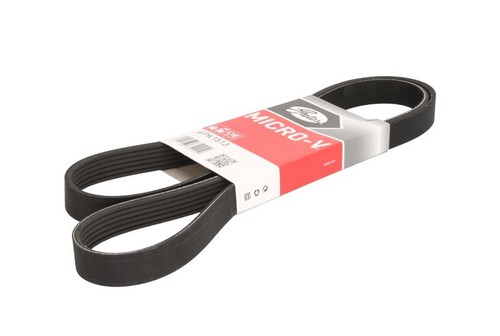 Gat multi ribbed belt - belt, fits