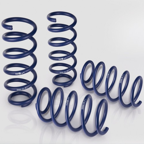 Lowering springs for - h&r,