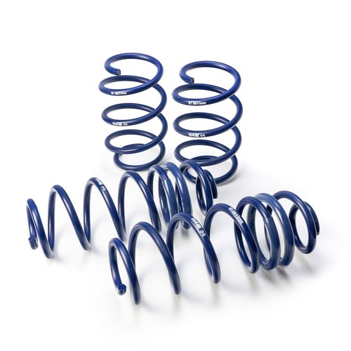 Lowering springs 29405 - springs, 29405-1