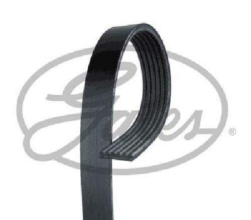 Genuine gates ribbed belt - v-ribbed,